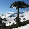 bernarda Marin - @bernarda.marin3 - TikTok