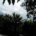 Bernarda Morel coronado - @bernardamorelcoronado - Instagram