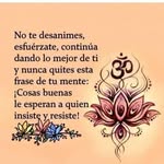 Bernarda Reyes Baez - @bernardareyesbaez - Instagram