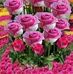 Bernardina Sanchez - Facebook