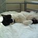 Bernadine Dohrn - Facebook