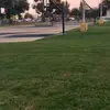 bernardinotorres73 - @bernardinotorres73 - TikTok