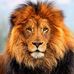 Bernardo Aviles - Facebook