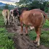 bernardoayala - @bernardsilva03 - TikTok