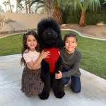Bernardo Badillo - @bernardo0612 - Instagram