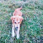 Bernardo - @bakerbernardo976 - Instagram