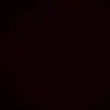 Bernardo_Becker - @bernardo_becker4 - TikTok