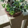 Bernardo Benavides - @bernardo.benavide4 - TikTok