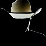 Bernardo Benavides - @bernardo.benavides.56 - Instagram