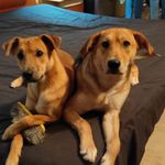 Bernardo y Benito Marcano - @benitoybernardo - Instagram