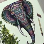 Bernardo Bernal Diaz - @bernardo_capelli_ - Instagram