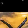 Bernardo BlackBrasil - @bernardo.blackbra - TikTok