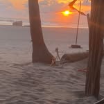 Bernardo Bustos - @bernardo.bustos.50 - Instagram