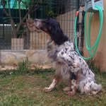 Bernardo Bustos - @bernardo.bustos.12 - Instagram