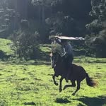 Bernardo Cabral Silveira - @bernardocabralsilveira - Instagram