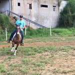 Bernardo Calderaro - @bernardocalderaro - Instagram