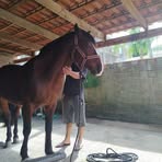 Bernardo Camargo - Facebook