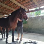 Bernardo Camargo - @bernardo_oliveiraa27 - Instagram