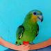 Bernardo Cano - Facebook
