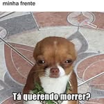Bernardo Carrera Palma Silva - @bernardo_carrera07 - Instagram