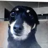 Bernardo Carvalho - @carvalho.bernardo - TikTok