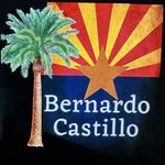 Bernardo Castillo - @bernardo_castillo_azlandscaper - Instagram