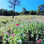 Bernardo catalán - @bernardo_3384 - Instagram