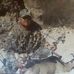 Bernardo Celaya - Facebook
