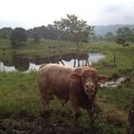 Bernardo Cepeda - @cepeda_bernardo - Instagram