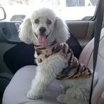 Bernardo Cisneros - @medinasigfrido - Instagram