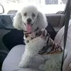 Bernardo Cisneros - @bernardo.cisneros98 - TikTok