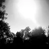 BernardoCisneros - @bernardocisneros - TikTok