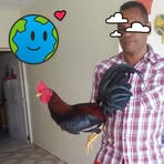 Bernardo Collado - Facebook
