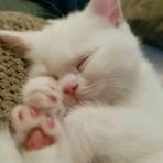 Bernardo Collado - Facebook