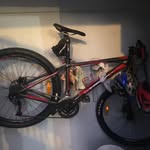 BernardoCollado - @bernardocollado6 - Instagram