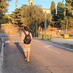 Bernardo David - @bernardo.ld - Instagram