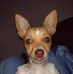Bernardo David - Facebook