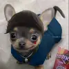 Bernardo David - @berna.d.__ - TikTok