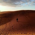 Bernardo Davis Ponce - @bernardo_ponce1 - Instagram