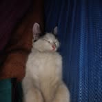 Bernardo Escobar - Facebook