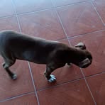 Bernardo Escobar - Facebook