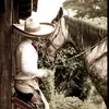 bernardoibarra491 - @bernardoibarra491 - TikTok