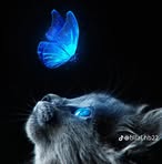 Bernardo Juarez - Facebook