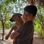 bernardo matos - @bernardo_mattos46 - Instagram