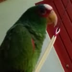 Bernardo Ochoa - @bernardo_ochoa74 - Instagram
