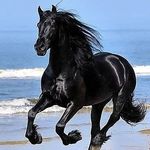 Bernardo Ochoa - @bernardo.ochoa.370 - Instagram