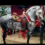 Bernardo Ochoa - @bernardo.ochoa.108889 - Instagram