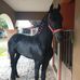 Bernardo Ochoa - Facebook