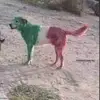 bernardoochoa868 - @bernardoochoa868 - TikTok