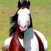 Bernardo Osorio - Facebook